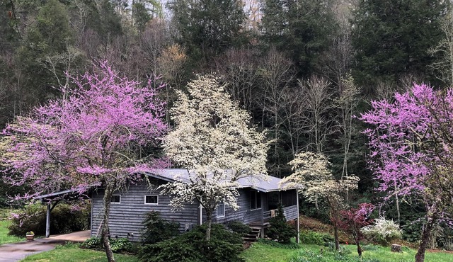 Wilderness retreat near Asheville, Myra's Cottage offers comfort & adventure