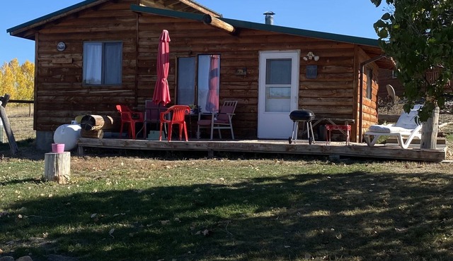 Wilderness Spirit Cabins 'Bear Cave' cabin-family friendly/sportsman paradise