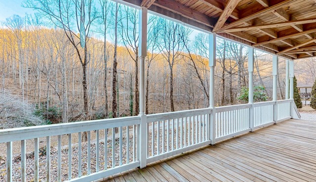 Wilderness studio with kitchenette, jetted tub, smart TV, & AC - dog-friendly