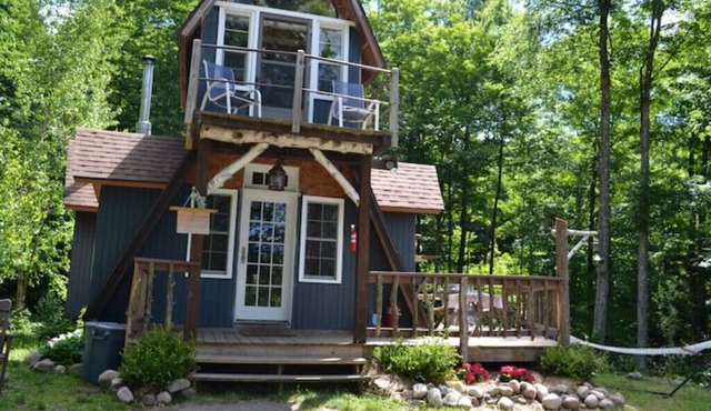 Wilderness White Birch Cabin on Private Laken