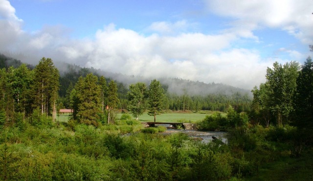 Wilderness, wildlife, and fishing cabin