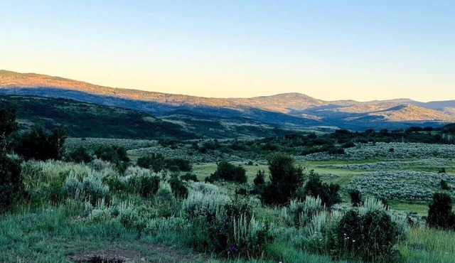 Wildflower - Hunters cabin stay