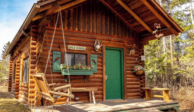 Wildflower Log Cabin with firepit & mountain views