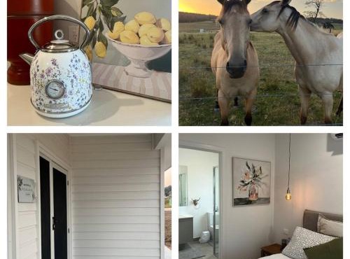 Wildflower Quarters: King Bed Scenic Hideaway