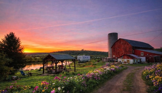 Wildflower Wagon Farm Stay