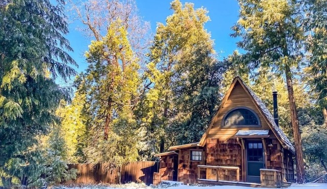 Wildland Zen Den: Tiny House Retreat with Fireplace, Grill, AC, Hammock, Record