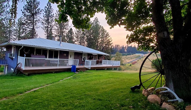 Wildlife Beautiful of rocky mountains, minutes away from clearwater river veiw