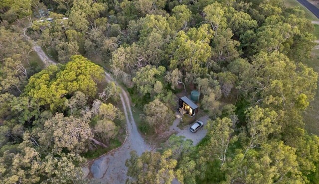 Wildlife Haven by Tiny Away