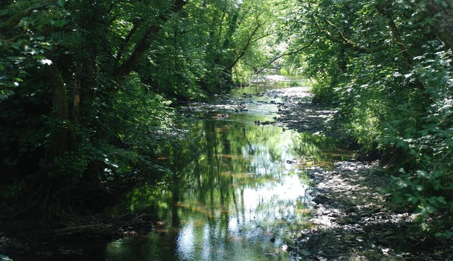 Wildlife haven with river