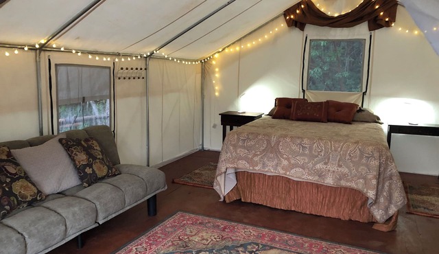 Wildlife, Nature, Glamp #3