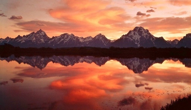 Wildlife, Tram&Mountain Views, Creek, GTNP & Yellowstone, Free Bikes