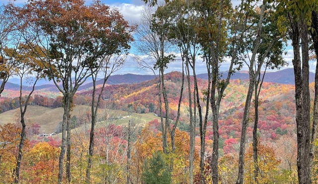 WILDWOOD CABIN - Sleeps 14, Mountain Views