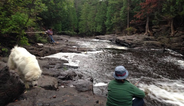 Wildwood Cottage, Duluth, private wooded retreat on the North Shore