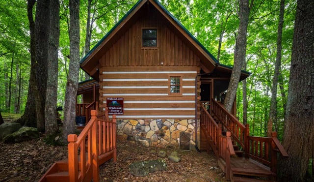 Wildwood Flower -Rustic, cozy, authentic log cabin