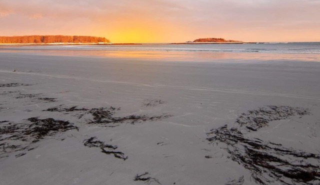 Wildwood, large cape-style home in the heart of Goose Rocks