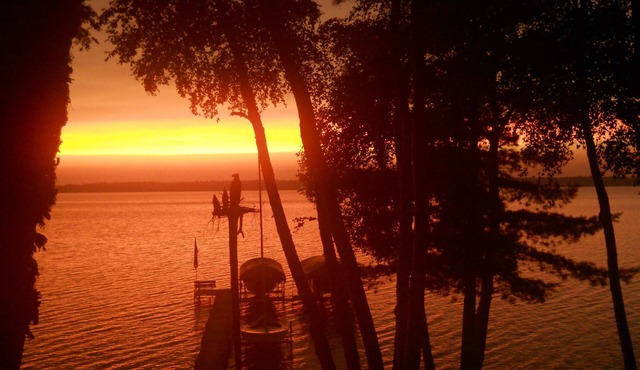 WILDWOOD LODGE is nestled in the trees on FishHook Lake 2 miles from Park Rapids