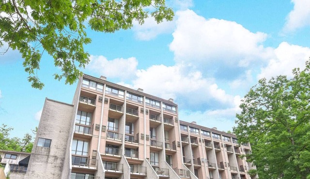 Will O' The Wisp: 102B One Bedroom/One Bath