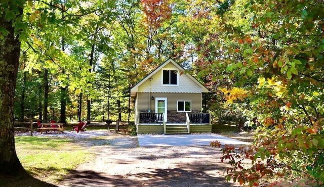 Willie's "One More Fish" cabin in Wellston MI