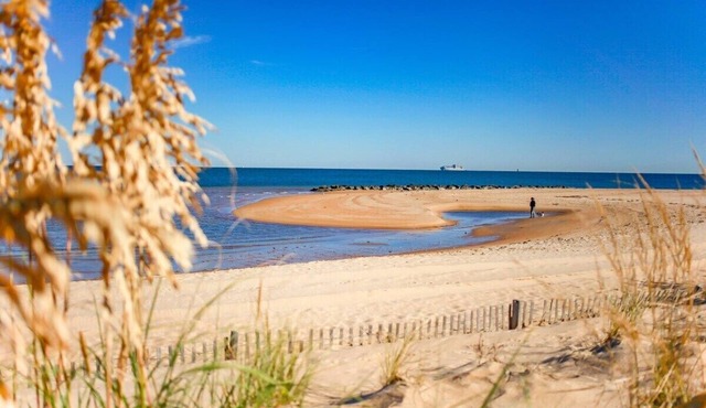 Willoughby Spit Sojourn | Beach Side | 2 BR