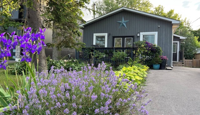 Willow Beach Renovated Cottage Retreat. Pet-Friendly!