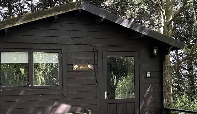 Willow by Paymán Club