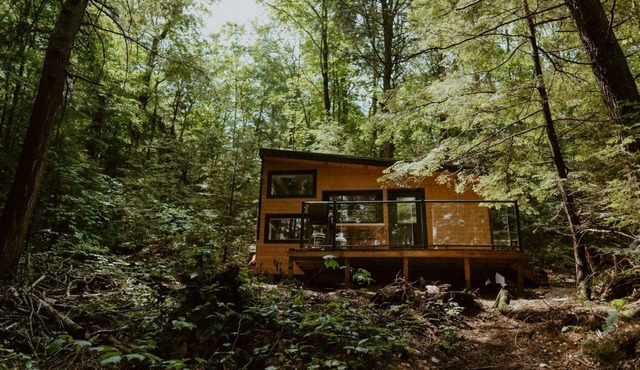 Willow Cabin | Magnificent Remote Waterfront Cabin