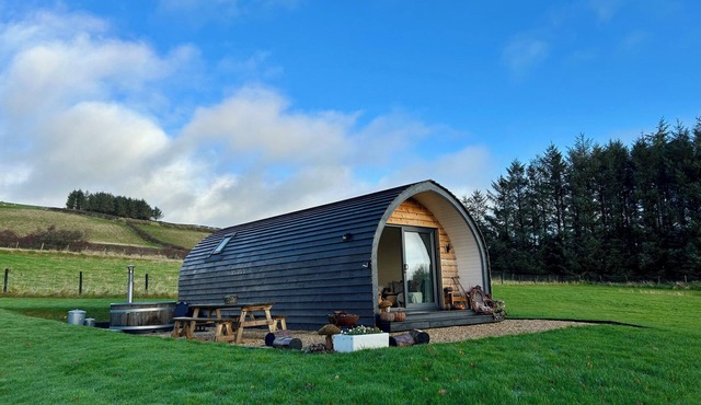 WILLOW, family friendly, character holiday cottage in Llanidloes