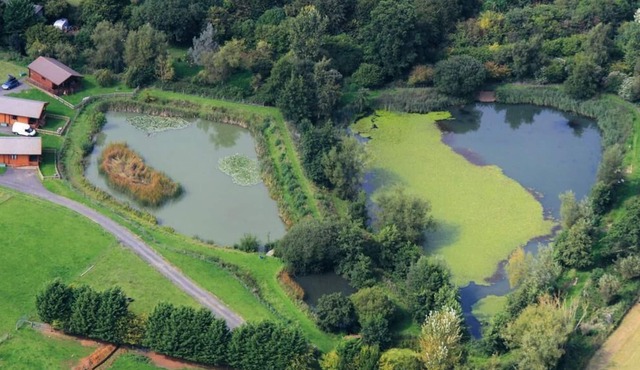 Willow Lakeside Lodge