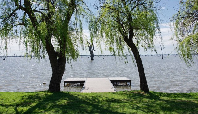 Willow on the Waterfront