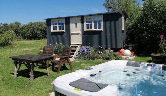 Willow Tree Shepherd's Hut with optional hot tub and shared EV charger.