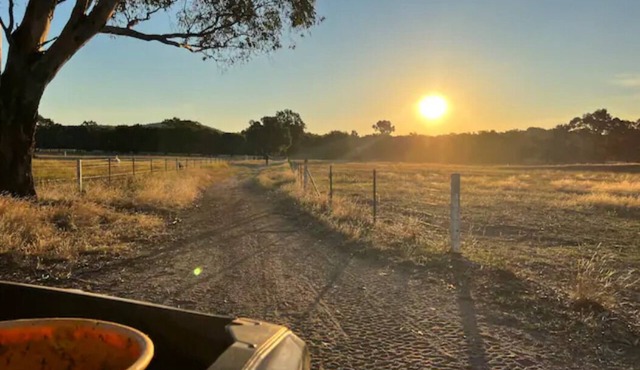 Willuna Sanctuary Farm Stay