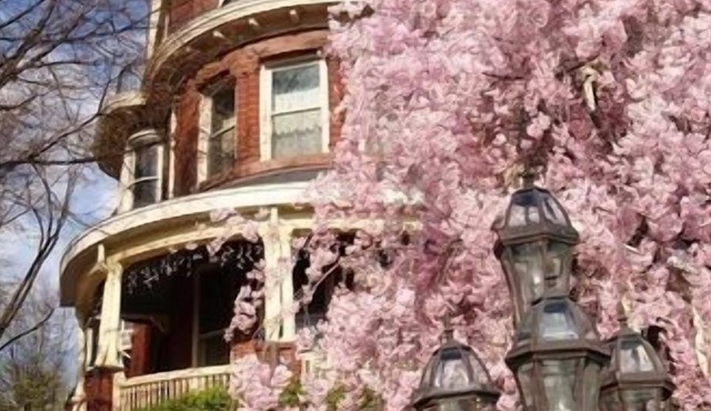 Wilson House Bed & Breakfast