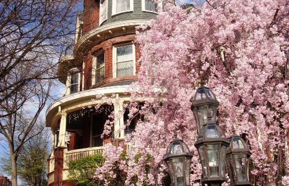 Wilson House Bed & Breakfast