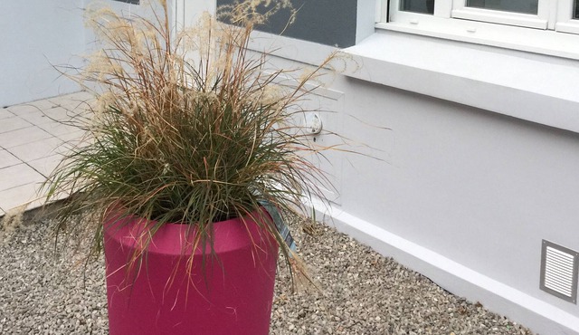 Wimereux Cottage 7 people 2 steps from the beach and the center