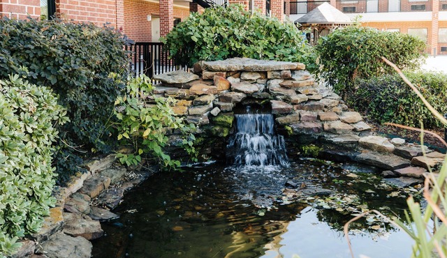 Winchester Inn & Suites Humble/IAH/North Houston