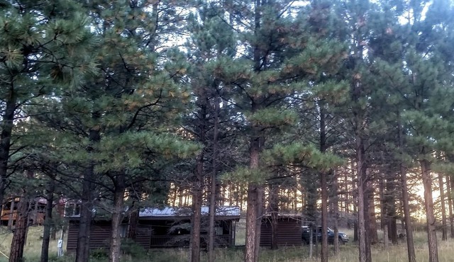 Windes' East Fork Retreat: Private, By the river, Bird Watching, Weekly Rate