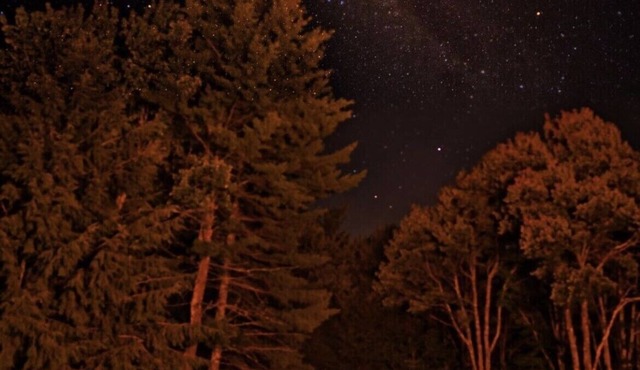 Windham 2 BR Cabin In The Woods With Bonus Vintage Updated Camper .