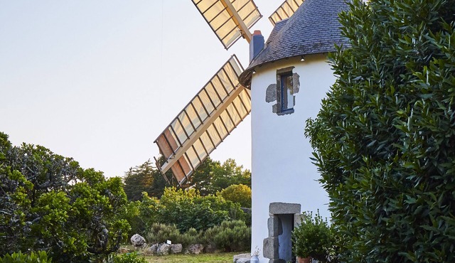 Windmill | authenticity and modernity
