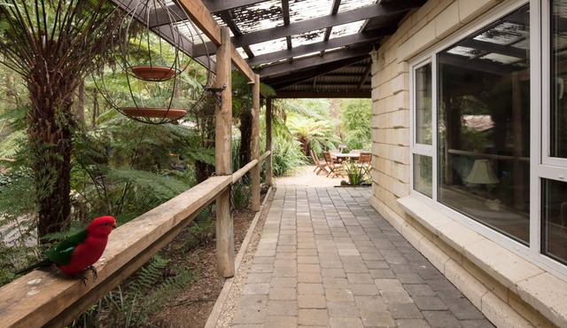 Windmill lodge: Private rainforest with river