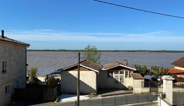 Windows on the Estuary