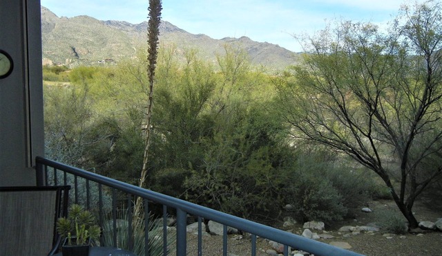 Windows to Catalina Mountains inside-out. Private patio to enjoy Tucson charm