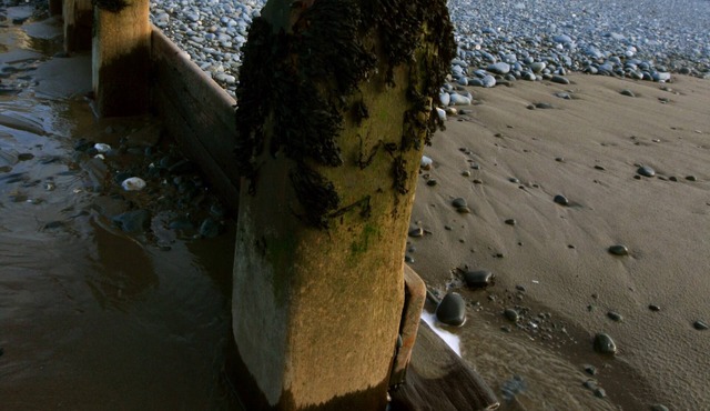 Windsor House, Borth