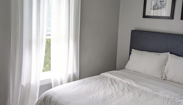 Windsor's Walkerville Winter Escape - Downtown Windsor