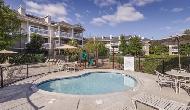 Windsor | Sonoma Wine Escape | Pool & Vineyard Days