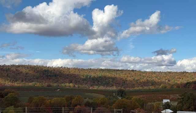 Windy Ridge Farm Guest Cottage
