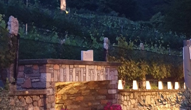 Wine & Art Relais Vallombrosa