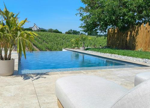 Wine Barn With Pool In The Heart Of Layon