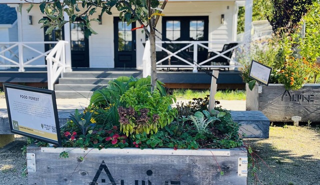 Wine Country Gem in downtown McMinnville. Walk to Wineries & Restaurants!