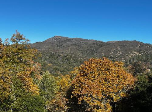 Wine Country Mountain Chalet 30 day minimum Rental