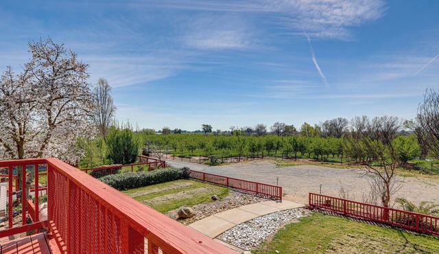Wine Country Retreat in Galt w/Vineyard Views